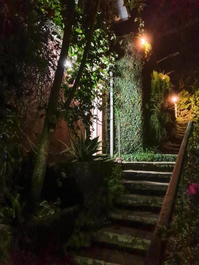Villa Violeta Petrópolis Exterior foto