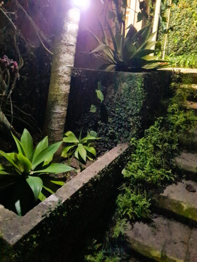 Villa Violeta Petrópolis Exterior foto
